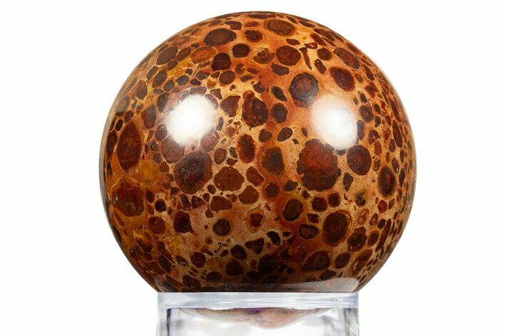 Polished Bauxite (Aluminum Ore) Sphere - Russia #316279